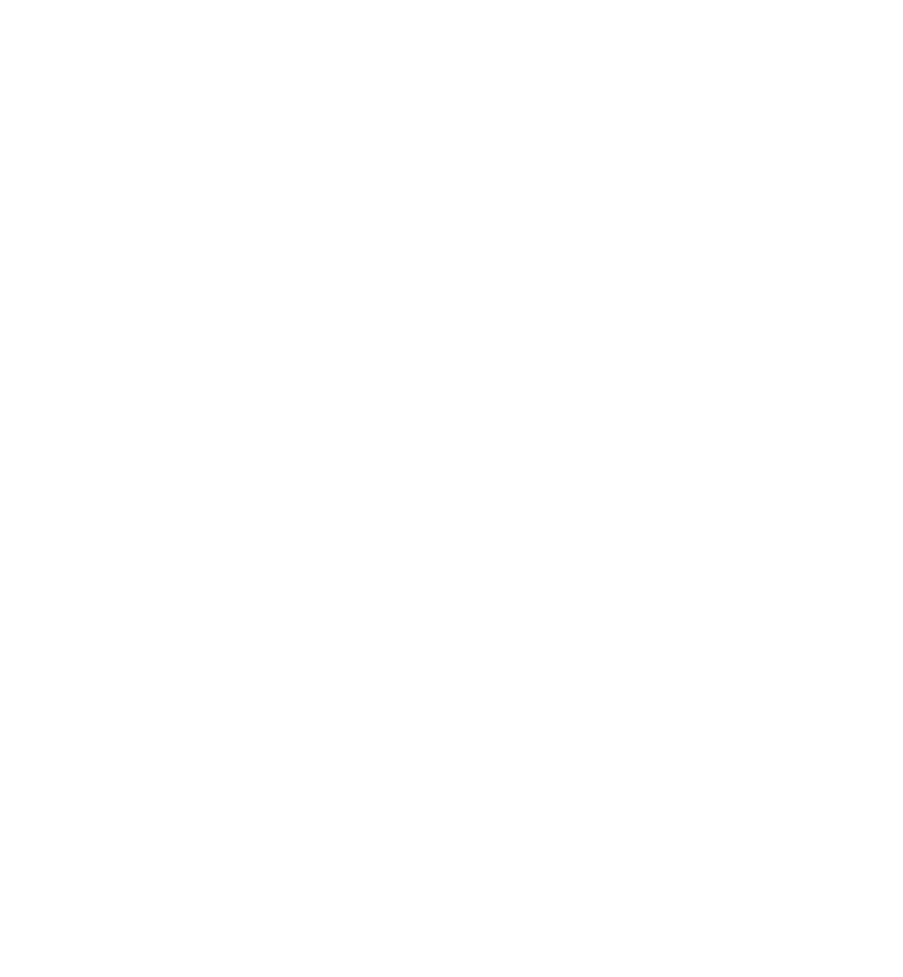 True Path Equity